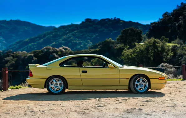 Picture BMW, COUPE, E31, 850 CSi