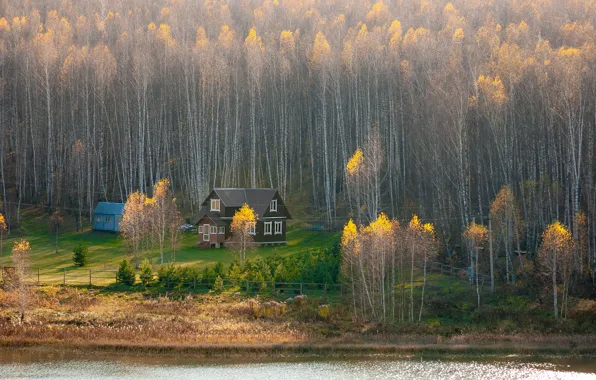 Picture autumn, Forest, house