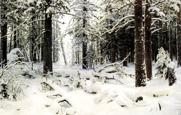 Cold, forest, snow, trees, Winter, picture, painting, Shishkin