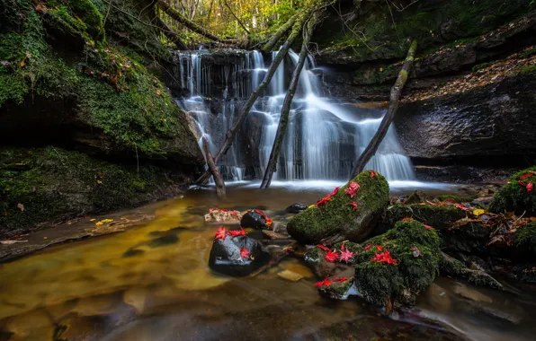 Leaves, river, stones, waterfall, moss, Scotland, cascade