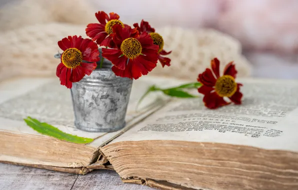 Flowers, book, gelenium