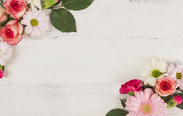 Picture flowers, roses, gerbera, chrysanthemum