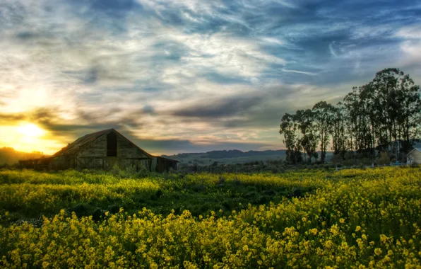 The barn, USA, CA, farm, usa, barn, farm, сalifornia