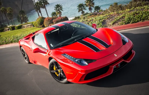 Picture flowers, red, palm trees, lawn, red, ferrari, Ferrari, the bushes