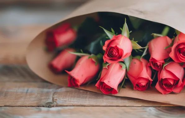 Flowers, holiday, Board, roses, bouquet, package, red, buds