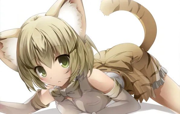 Girl, anime, japonese, Kemono Friends