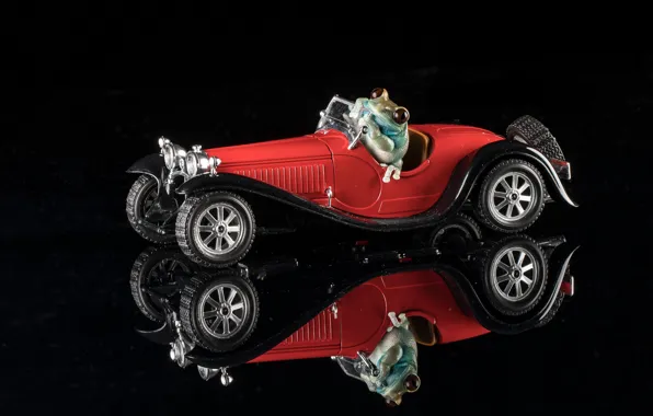 Picture reflection, frog, machine, black background, model, 1932 Bugatti