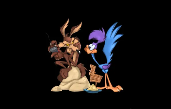 Picture road runner, coyote, tunes, looney