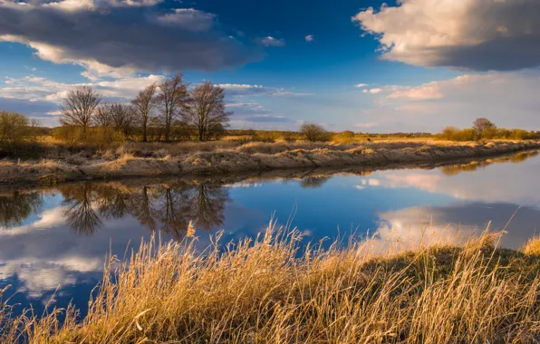 Sky, trees, clouds, reflections, Narew River, Podlasie, Łomża, Pnevo