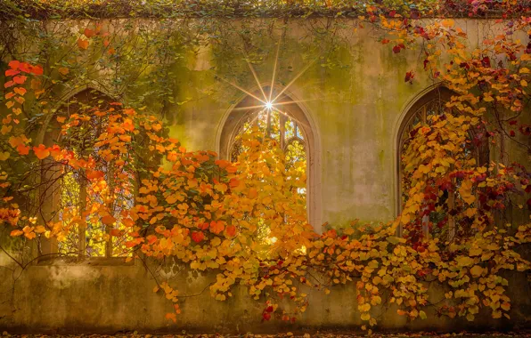 Autumn, leaves, the sun, castle, wall, thickets, Windows, garden