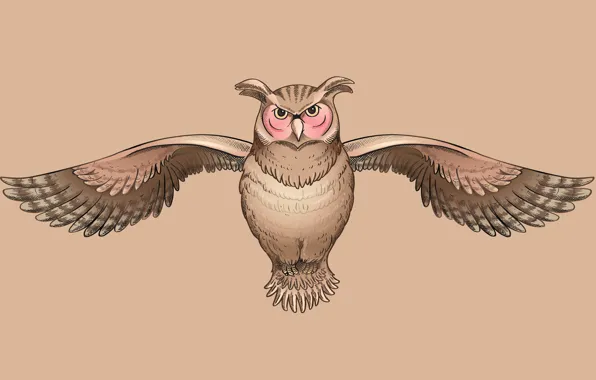 Owl, bird, owl, wise, cruise