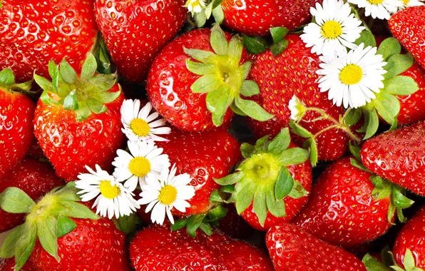 Picture flowers, berries, strawberry