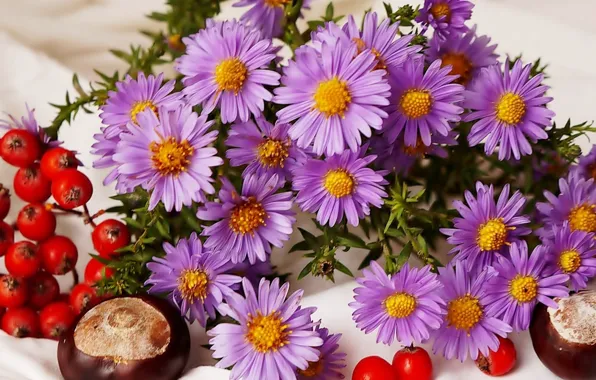 Flower, autumn, composition
