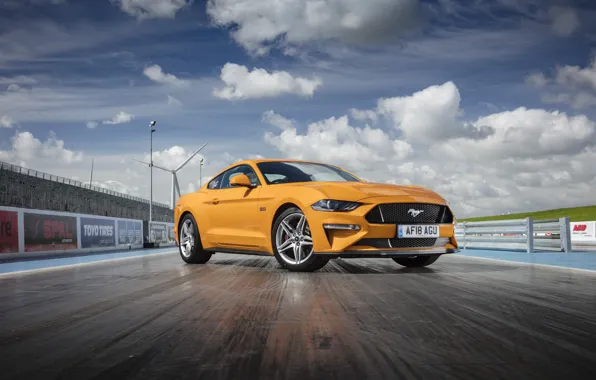 Ford, 5.0, mustang gt