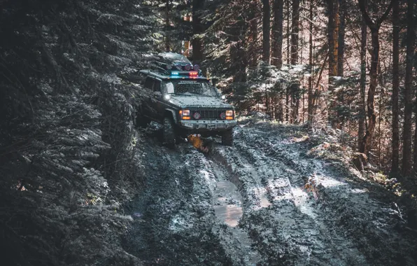 Wood, Winter, Lights, Snow, SUV, Jeep, Trees, Offroad