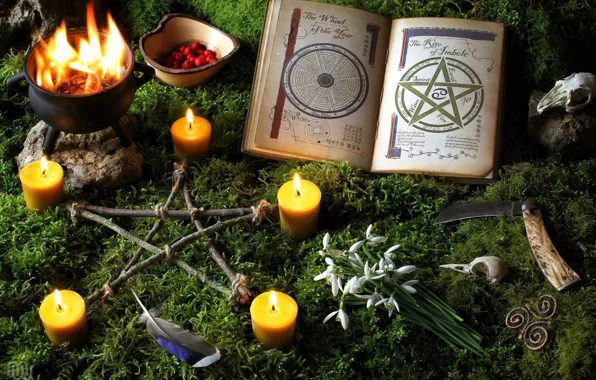 Fire, skull, moss, candles, feathers, snowdrops, knife, book
