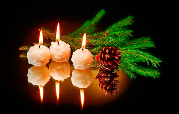 Picture reflection, fire, holiday, branch, candles, new year, bump, black background
