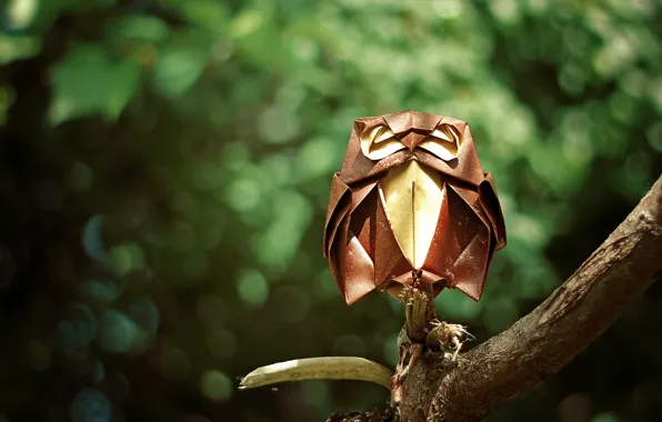 Forest, owl, branch, forest, origami, origami, branch, owl