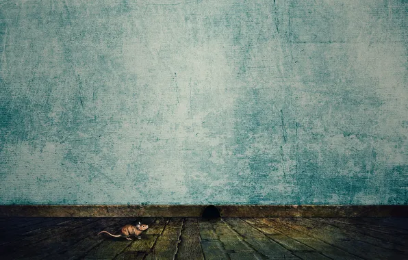 Picture wall, minimalism, mouse, floor