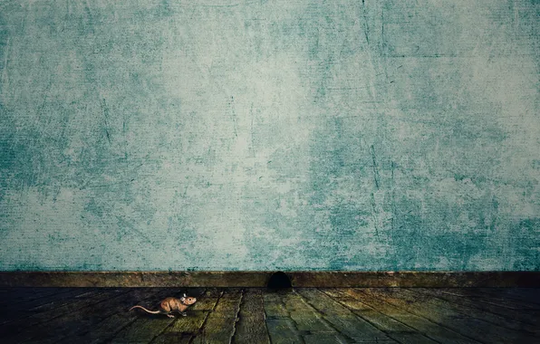 Wall, minimalism, mouse, floor