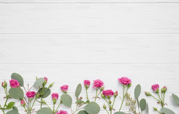 Leaves, flowers, roses, pink, buds, wood, pink, flowers