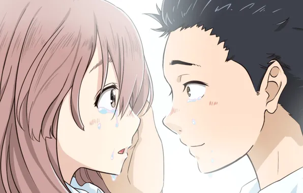 Girl, love, romance, Anime, guy, two, tears, 2016