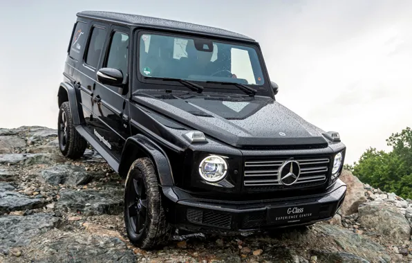 Stones, black, Mercedes-Benz, SUV, 4x4, G-Class, V8, 2019