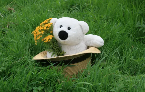 Picture background, mood, Wallpaper, toy, bouquet, White, bear, in the hat