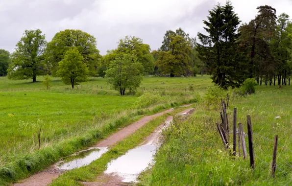 Road, field, landscape, the fence