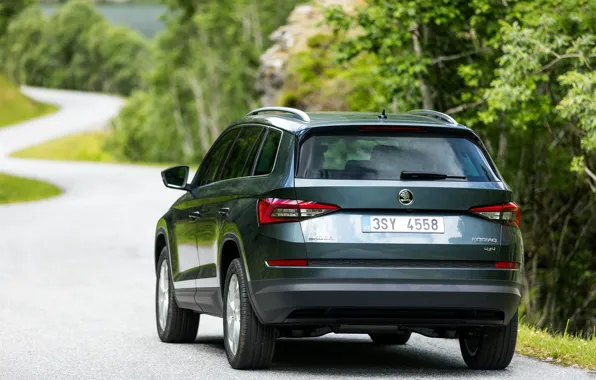 Road, SUV, Skoda, feed, Skoda, 2016, Kodiaq