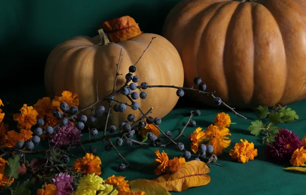Autumn, flowers, branch, harvest, fruit, grapes, pumpkin, still life