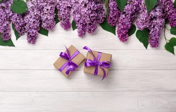 Picture spring, gifts, lilac