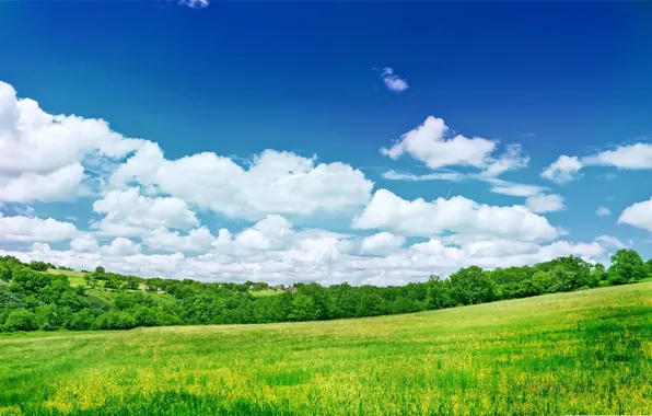 Picture the sky, grass, clouds, trees, hills, houses