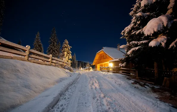 Picture winter, road, night, house