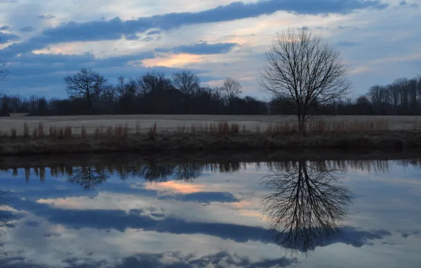 Picture field, forest, the sky, clouds, trees, clouds, reflection, river