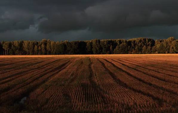 Field, clouds, clearing, storm clouds