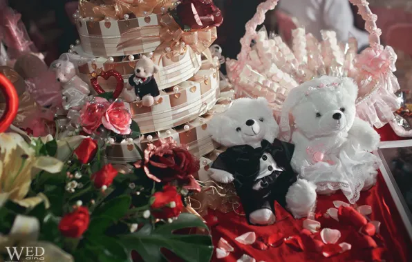 Picture design, toys, roses, bear, bear, the bride, wedding, the groom
