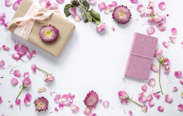 Flowers, background, roses, petals, pink, buds, pink, flowers