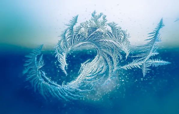 Picture winter, glass, pattern, frost