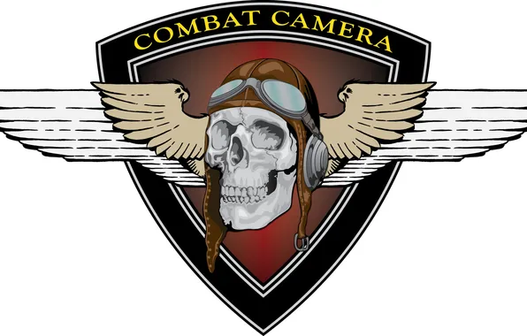 Picture skull, logo, emblem, Combat Camera