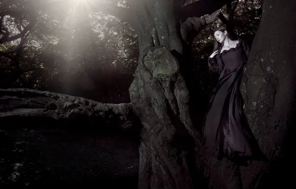 Picture Tree, Wallpaper, Woman, Black Dress, Sun &ampamp; Shade