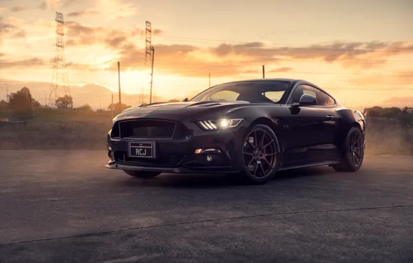Picture Mustang, Ford, Muscle, Car, Front, Black