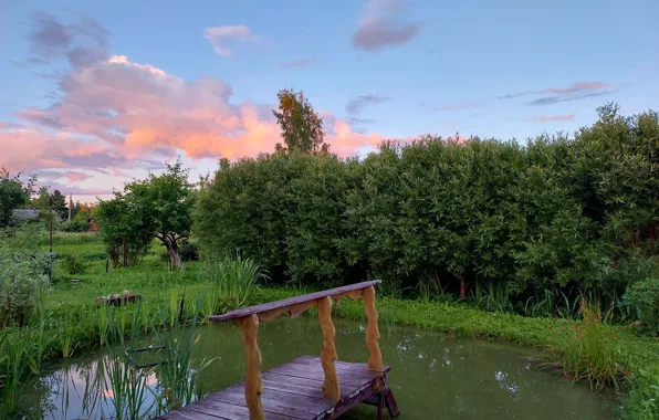 Picture the sky, landscape, nature, pond, village, Novgorod oblast