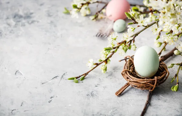 Branch, spring, Easter, composition, Myfoodie