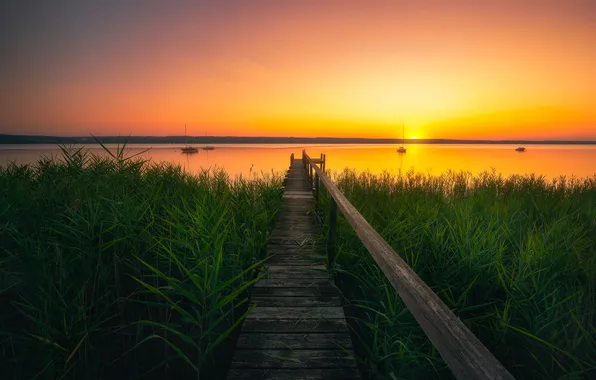 Grass, sunset, lake, thickets, shore, boats, pier, pierce