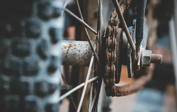 Picture bike, wheel, chain