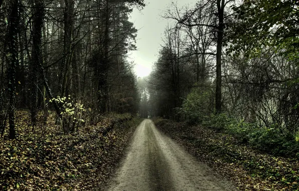 Road, sadness, autumn, 154