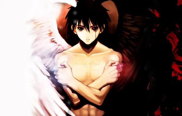 Picture blood, wings, anime, ring, art, guy, taka tony, xion