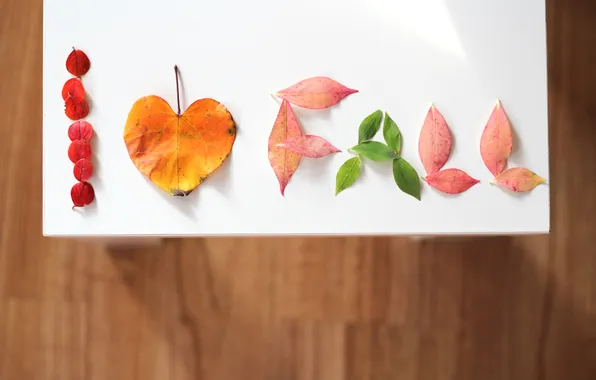 Picture leaves, background, the inscription, Wallpaper, mood, heart, leaves, heart