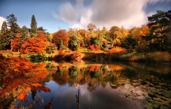 Picture autumn, pond, Park, gazebo